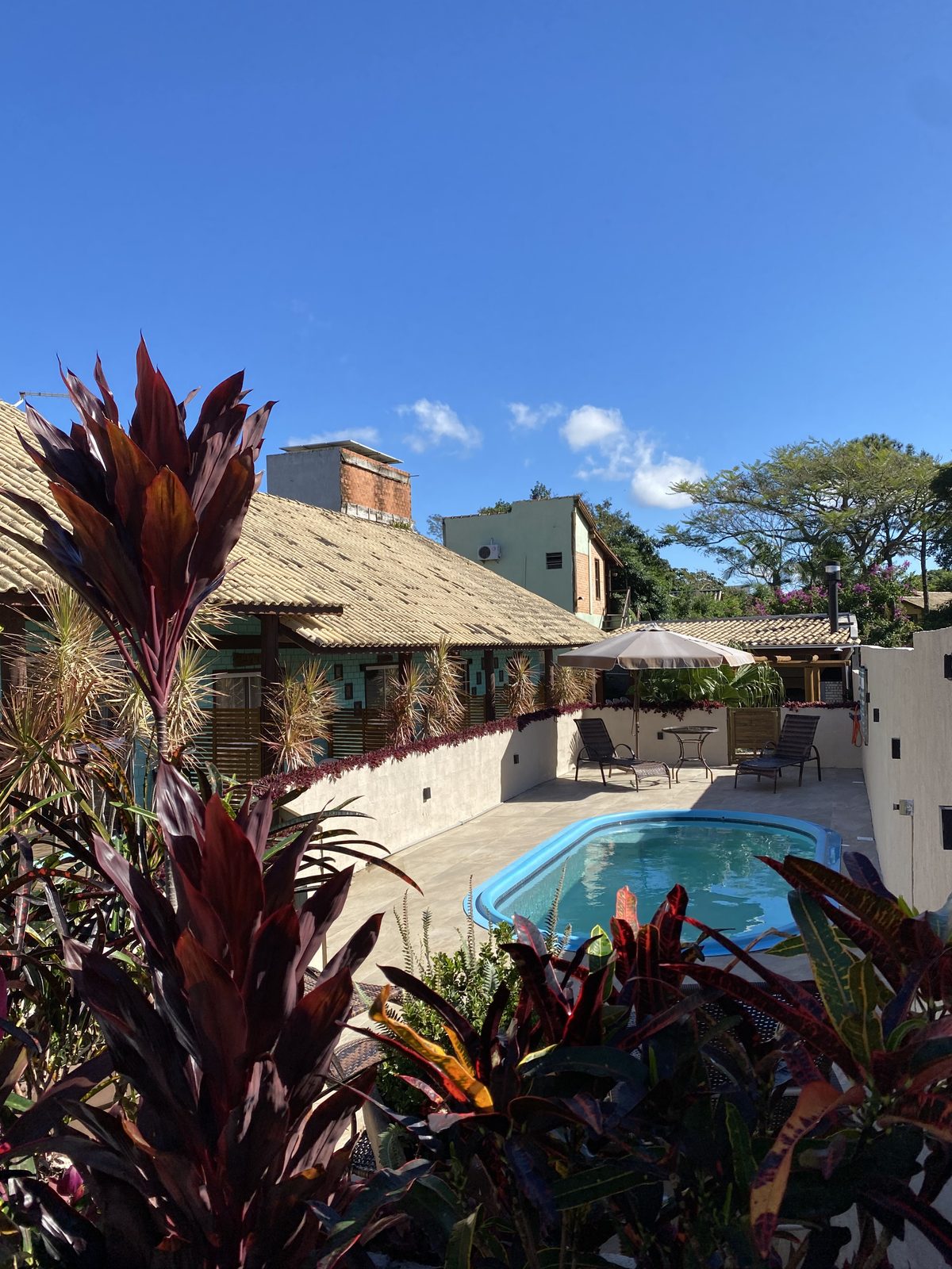 Piscina com vista do jardim